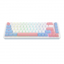Redragon Nova Pro Wired Hot Swappable Gasket Mounted Mechanical Keyboard
